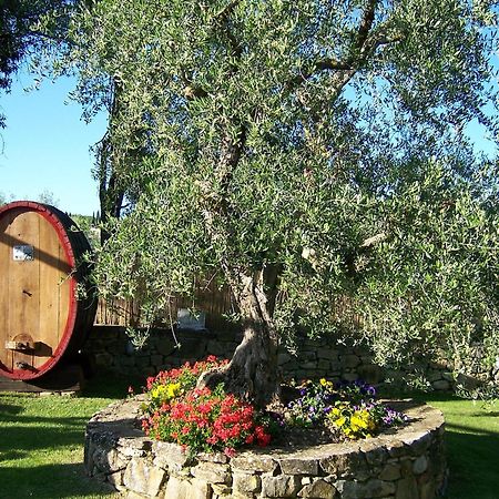 Hotel Belvedere Di San Leonino Кастелина ин Кианти Екстериор снимка
